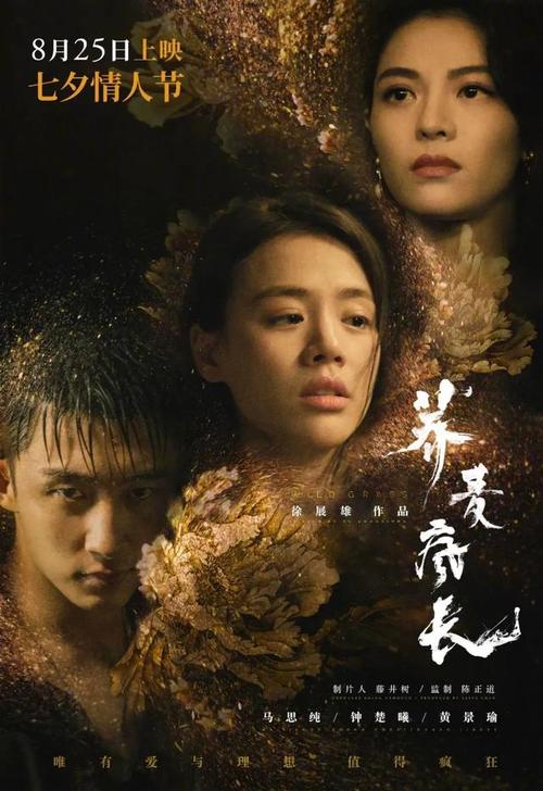 仿制斯特灵大学毕业证